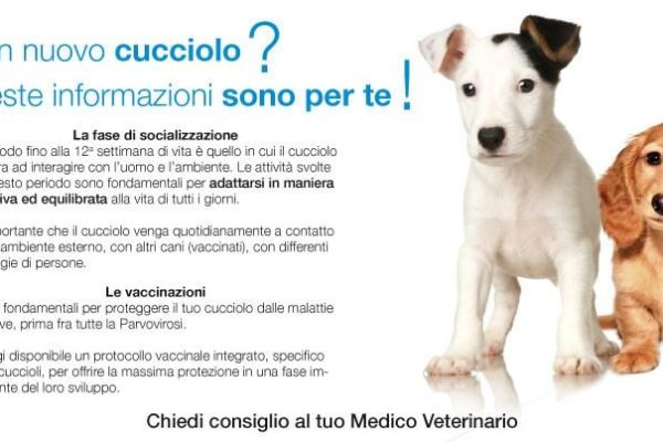 Prima visita dal veterinario