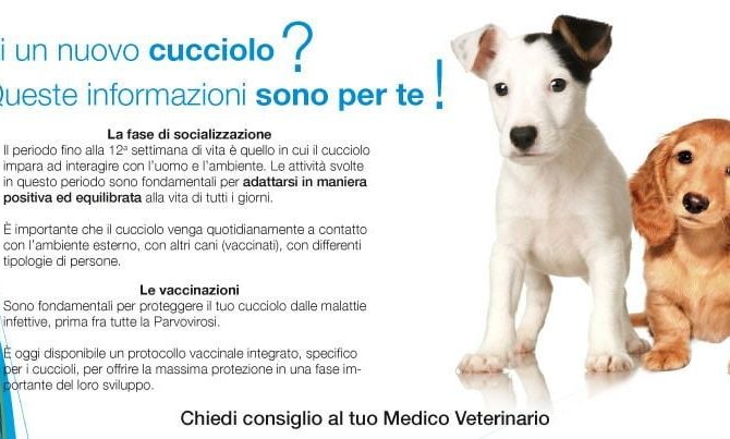 Prima visita dal veterinario